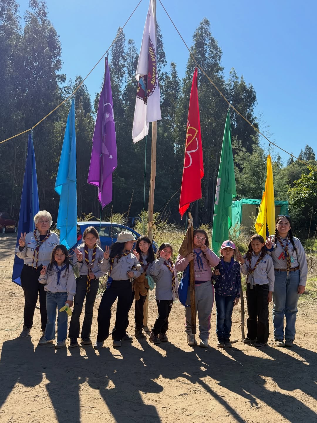 Golondrinas en actividad