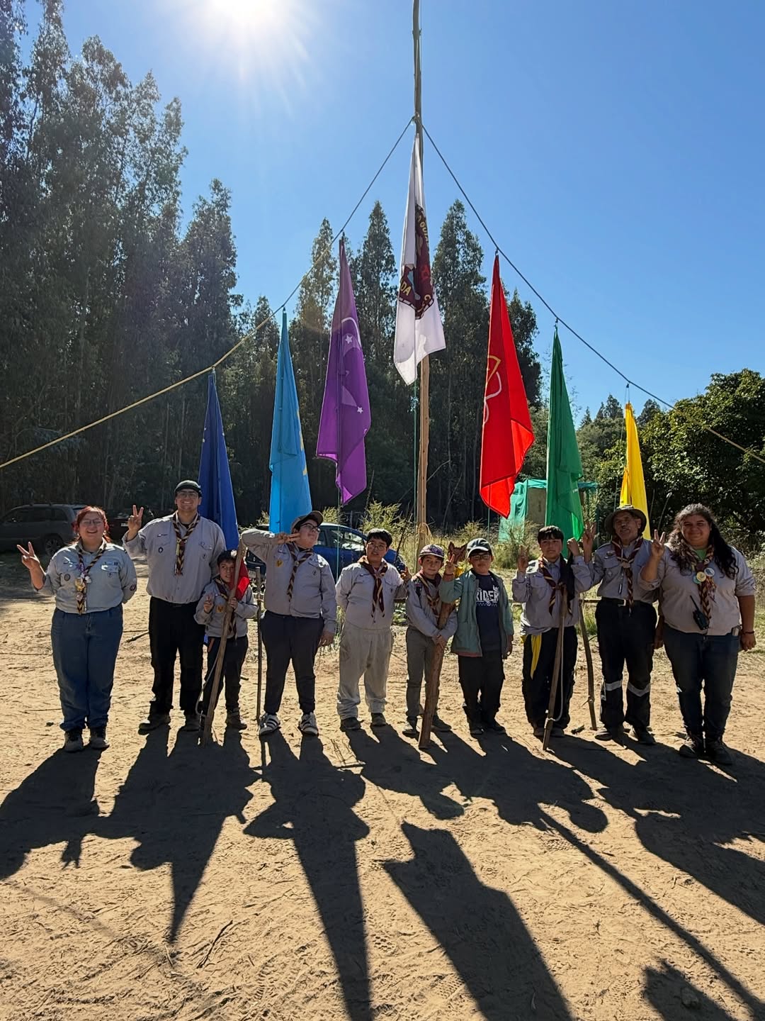 Lobatos en actividad